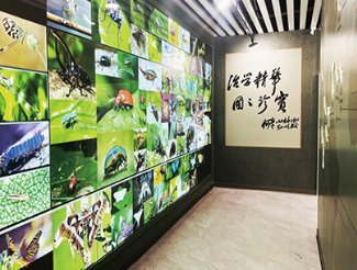 CAU insect museum