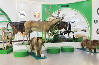 CAU animal medical library