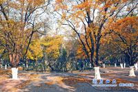 SDU central garden at baotuquan campus