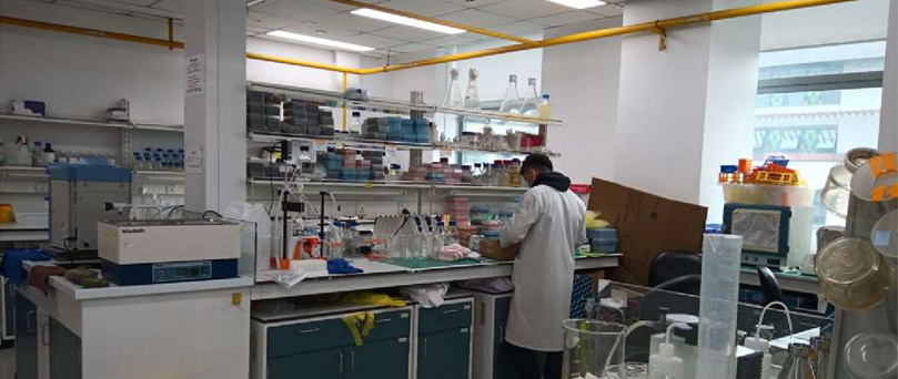 XJTLU laboratory 2